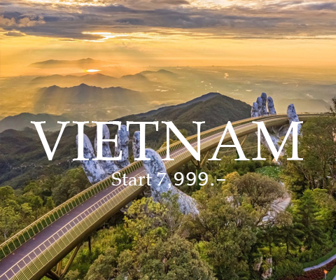 เวียดนาม